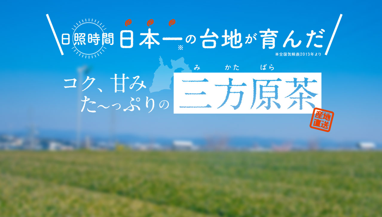 日照時間日本一の大地が育んだコク、甘みたっぷりの三方原茶