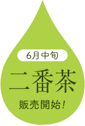 二番茶